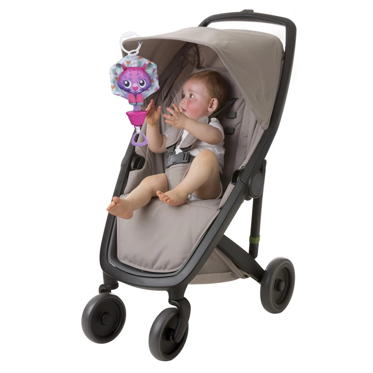 Playgro Musical Polar Pals Cat Muziekdoosje P0188321 4 Playgro Musical Polar Pals Cat Muziekdoosje P0188321 - Afbeelding 4