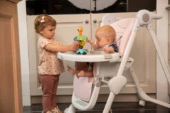 Bo Jungle B-Suction Toy Smart Owl Kinderstoel Speelgoed B910810 -Kinderwagen Winkel bo jungle b suction toy smart owl kinderstoel speelgoed b910810 7