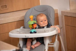 Bo Jungle B-Suction Toy Smart Owl Kinderstoel Speelgoed B910810 -Kinderwagen Winkel bo jungle b suction toy smart owl kinderstoel speelgoed b910810 8