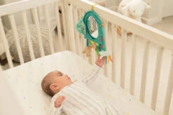 Infantino Elephant Autospiegel BK-316313 -Kinderwagen Winkel infantino elephant autospiegel bk 316313 2