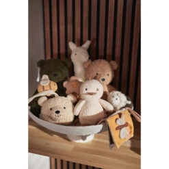 Jollein Spring Garden Buggyboekje 221-001-67018 -Kinderwagen Winkel jollein spring garden buggyboekje 221 001 67018 .11